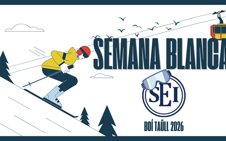 VIAJE A LA NIEVE 2026